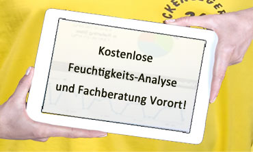 Kostenlose Schadensanalyse